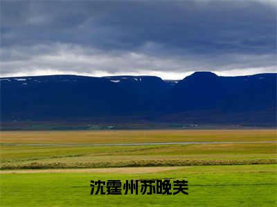 苏晚芙沈霆州沈霆州苏晚芙小说全文免费阅读_沈霆州苏晚芙（苏晚芙沈霆州）最新章节列表笔趣阁