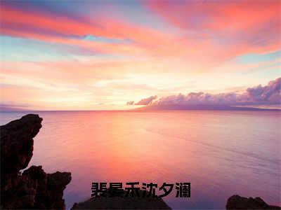 裴晏禾沈夕澜（沈夕澜裴晏禾）小说全文免费阅读无弹窗大结局_（沈夕澜裴晏禾免费阅读）裴晏禾沈夕澜最新章节列表笔趣阁