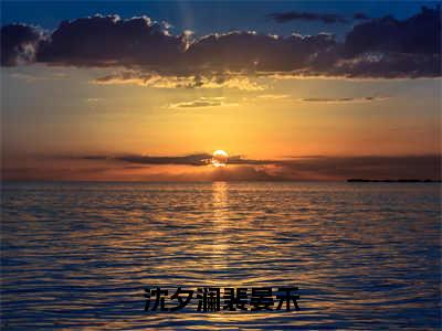 《裴晏禾沈夕澜》全文免费阅读无弹窗大结局-沈夕澜裴晏禾无弹窗阅读