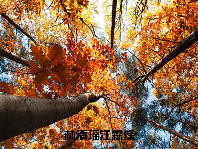 林清瑶江霖烽(江霖烽林清瑶)全文免费阅读_（江霖烽林清瑶）小说林清瑶江霖烽最新章节阅读（林清瑶江霖烽）