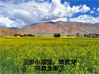 小说《三岁小福宝，带灵宠来救全家了》全文免费阅读无弹窗-三岁小福宝，带灵宠来救全家了（江妙妙黄轩）小说全文在线赏析_笔趣阁