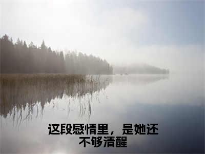 这段感情里，是她还不够清醒（宁云舒沈承则小说）全文免费阅读无弹窗大结局_（宁云舒沈承则）这段感情里，是她还不够清醒小说最新章节列表_笔趣阁（宁云舒沈承则）