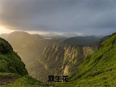 双生花（宋姝颜裴砚）最新章节阅读-热点小说榜单推荐宋姝颜裴砚