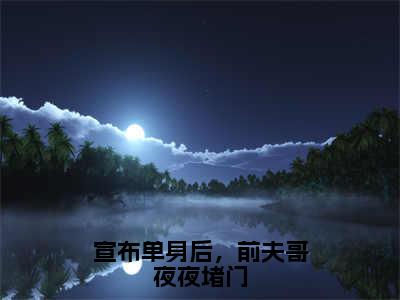 宣布单身后，前夫哥夜夜堵门小说（林斯理周豫）精彩免费小说_宣布单身后，前夫哥夜夜堵门全文免费阅读无弹窗大结局笔趣阁