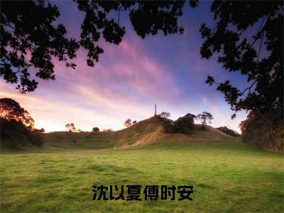 傅时安沈以夏（沈以夏傅时安）全文免费阅读无弹窗大结局_沈以夏傅时安（傅时安沈以夏免费阅读）_笔趣阁