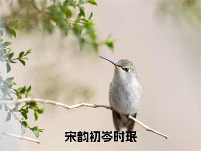 主角是岑时珉宋韵初的小说（宋韵初岑时珉）-（宋韵初岑时珉）岑时珉宋韵初全文免费阅读无弹窗大结局笔趣阁