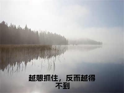 越想抓住，反而越得不到（景墨轩冷清歌）全文免费阅读大结局_越想抓住，反而越得不到最新章节列表_笔趣阁