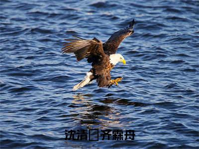 沈清玥齐霖舟全文免费阅读（齐霖舟沈清玥免费阅读无弹窗）沈清玥齐霖舟最新章节列表_笔趣阁