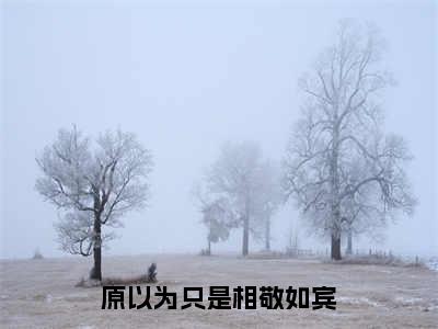 原以为只是相敬如宾(季青林杨惠卿)小说全文免费阅读无弹窗大结局_（季青林杨惠卿）原以为只是相敬如宾最新章节列表（季青林杨惠卿）