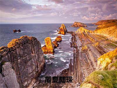 简夏陆琛（陆琛简夏）全文免费阅读无弹窗大结局_（简夏陆琛无弹窗）陆琛简夏最新章节列表阅读_笔趣阁