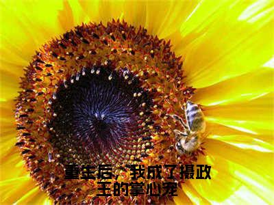 林若幽萧晟重生后，我成了摄政王的掌心宠小说全文无广告阅读-林若幽萧晟小说赏析重生后，我成了摄政王的掌心宠