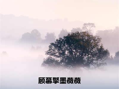 顾慕擎墨薇薇在线阅读无弹窗_墨薇薇顾慕擎最新章节列表_笔趣阁