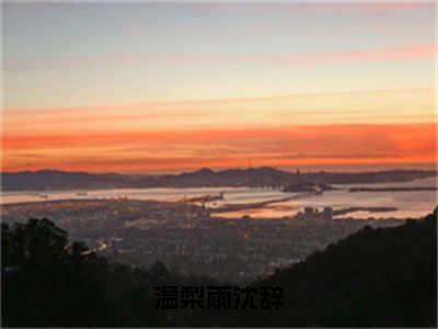 温梨雨沈辞（沈辞温梨雨）热门免费小说-沈辞温梨雨（温梨雨沈辞）精彩小说全文赏析