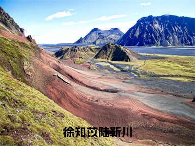 徐知苡陆靳川小说免费阅读 陆靳川徐知苡完整版全文大结局