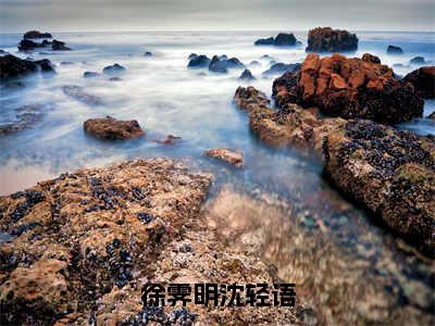 徐霁明沈轻语（沈轻语徐霁明）笔趣阁免费小说全文完整版-沈轻语徐霁明无弹窗免费阅读