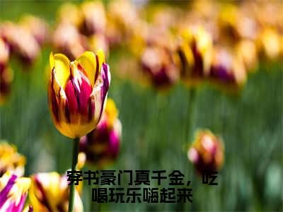 穿书豪门真千金，吃喝玩乐嗨起来小说(江夏)全文免费阅读无弹窗大结局_江夏小说免费阅读无弹窗最新章节列表_