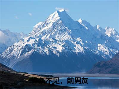 时绾宁宋洛屿（时绾宁宋洛屿）全文免费阅读_时绾宁宋洛屿（许久不见，前男友）最新章节列表笔趣阁