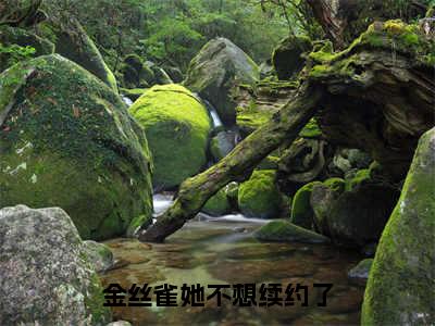 金丝雀她不想续约了小说全文免费阅读 （沈星冉时晏）免费阅读全文免费阅读无弹窗大结局