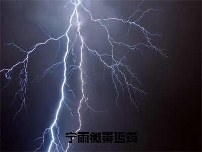 宁雨微秦延筠阅读无弹窗大结局_（秦延筠宁雨微阅读无弹窗）最新章节列表_笔趣阁