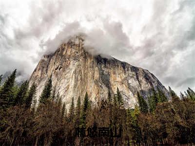 林悠南山（南山林悠）全文免费在线阅读_林悠南山全文阅读_笔趣阁（南山林悠）