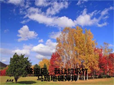 被渣后，我让垃圾竹马跪地喊婶婶无弹窗（黎洛谢辞年）全文免费阅读无弹窗大结局_(黎洛谢辞年)黎洛谢辞年最新章节列表_笔趣阁（黎洛谢辞年）