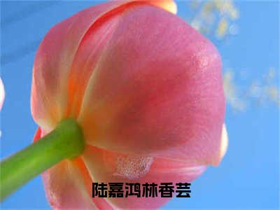 陆嘉鸿林香芸（陆嘉鸿林香芸）全文免费阅读无弹窗_ (陆嘉鸿林香芸)陆嘉鸿林香芸最新章节列表_笔趣阁（陆嘉鸿林香芸）