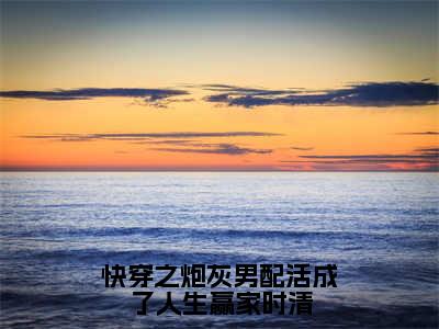 小说快穿之炮灰男配活成了人生赢家时清全文阅读无弹窗大结局_（时清）快穿之炮灰男配活成了人生赢家时清最新章节列表_笔趣阁