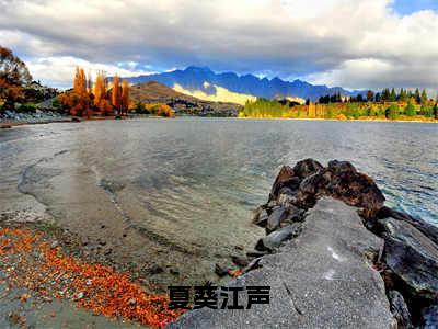 江声夏葵（夏葵江声）在哪免费看-小说（夏葵江声）全文完整版免费阅读江声夏葵