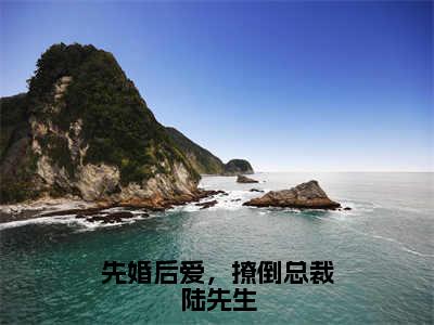 全章节完整《先婚后爱，撩倒总裁陆先生》全文阅读《苏沐陆谨深》