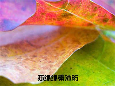 苏绵绵秦沐珩（苏绵绵）全文免费阅读无弹窗大结局_(苏绵绵)苏绵绵秦沐珩最新章节列表_笔趣阁