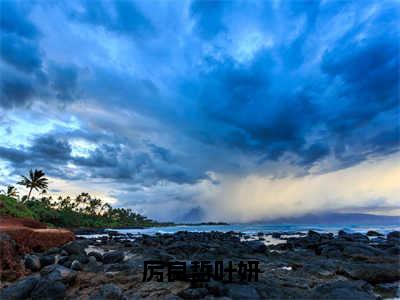 厉良哲叶妍（叶妍厉良哲）小说全文免费阅读大结局-厉良哲叶妍免费阅读无弹窗大结局