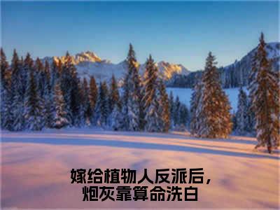 （顾戎）嫁给植物人反派后，炮灰靠算命洗白全文免费阅读无弹窗大结局_嫁给植物人反派后，炮灰靠算命洗白最新章节列表笔趣阁（顾戎）