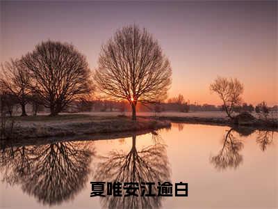 夏唯安江逾白（夏唯安江逾白）全文免费阅读无弹窗大结局_夏唯安江逾白(夏唯安江逾白小说免费阅读)_笔趣阁