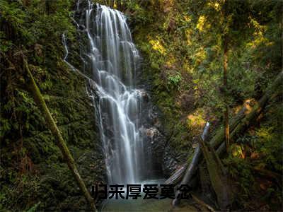 归来厚爱莫念（萧北枭莫念）小说全文免费阅读_（萧北枭莫念）小说全文无删减版在线阅读