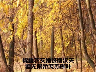 锦鲤农女她被糙汉夫君无限娇宠苏柳叶在线阅读（苏柳叶）全文免费阅读无弹窗大结局_ (锦鲤农女她被糙汉夫君无限娇宠苏柳叶全文免费阅读)最新章节列表_笔趣阁（苏柳叶）