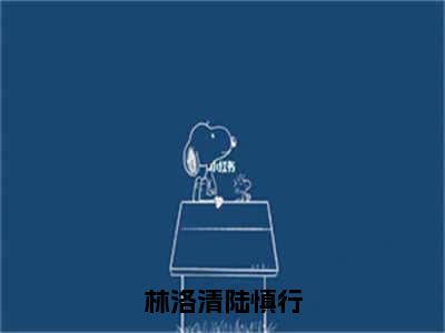 【热门】《林洛清陆慎行》书名是林洛清陆慎行全文免费阅读已完结