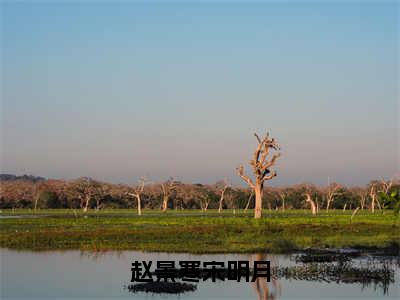 赵景寒宋明月（赵景寒宋明月）小说全文免费阅读无弹窗-赵景寒宋明月全章节在线阅读