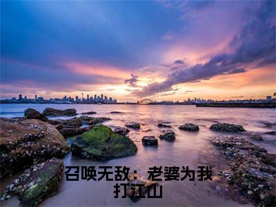 【全文】《周元》小说txt在线阅读_(周元全章节)-周元_召唤无敌：老婆为我打江山在线阅读