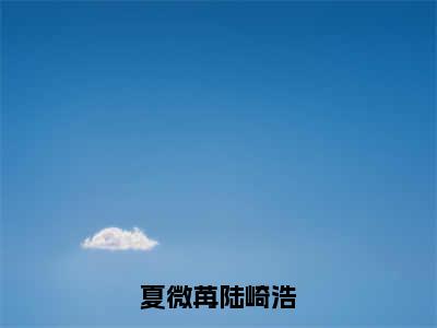 夏微苒陆崎浩（陆崎浩夏微苒）全文免费阅读无弹窗大结局_夏微苒陆崎浩小说全文免费阅读最新章节列表（陆崎浩夏微苒）