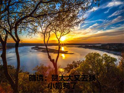 暗诱：贺太太又去找小奶狗了小说全文免费阅读(暗诱：贺太太又去找小奶狗了)全文免费阅读无弹窗_温欲晚贺庭舟小说全文免费阅读_笔趣阁(暗诱：贺太太又去找小奶狗了)