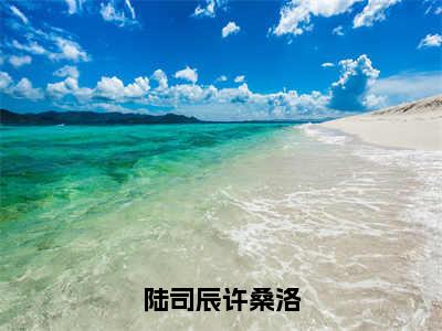 陆司辰许桑洛(许桑洛陆司辰小说)全文在线阅读无弹窗大结局_(许桑洛陆司辰小说)陆司辰许桑洛在线阅读无弹窗最新章节列表_笔趣阁