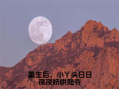 重生后，小丫头日日夜夜娇哄陆爷全文免费阅读无弹窗大结局_（重生后，小丫头日日夜夜娇哄陆爷阅读无弹窗）陆北承宋芷嫣最新章节列表_笔趣阁（陆北承宋芷嫣）