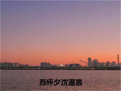 苏怀夕沈温言全文免费阅读无弹窗大结局_苏怀夕沈温言最新章节列表笔趣阁