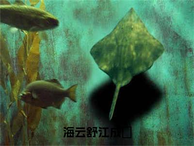 海云舒江成璟（江成璟海云舒）小说无删减版免费阅读-江成璟海云舒精彩章节推荐阅读