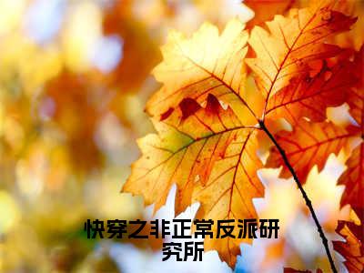 快穿之非正常反派研究所（顾言影）全文免费阅读无弹窗大结局_顾言影全文在线阅读