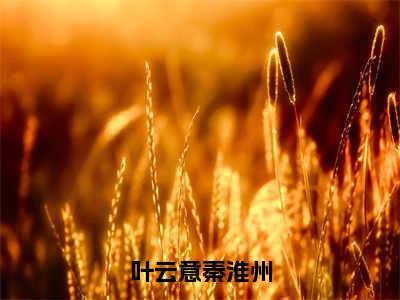 叶云意秦淮州在线阅读（叶云意秦淮州）全文免费阅读_叶云意秦淮州最新章节列表_笔趣阁