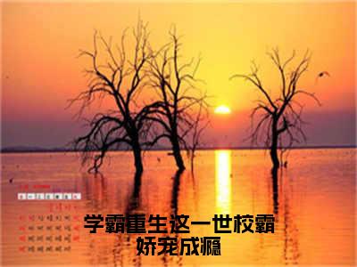 程野颜早早免费（学霸重生这一世校霸娇宠成瘾）全文免费阅读无弹窗大结局_学霸重生这一世校霸娇宠成瘾免费最新章节列表_笔趣阁