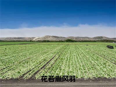 抖音高赞小说花若胤风羽在线阅读 花若胤风羽新上现代言情小说推荐