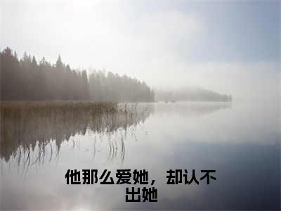 他那么爱她，却认不出她（岑非晚纪清彦）全文免费阅读无弹窗完整版，(他那么爱她，却认不出她)免费阅读全文最新章节列表_笔趣阁