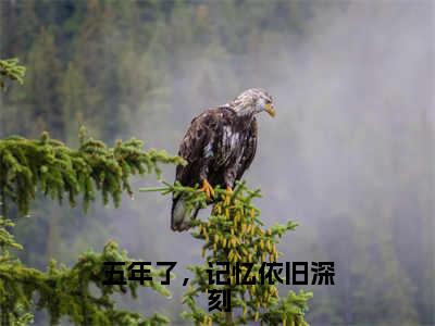 沈言孟舟免费（五年了，记忆依旧深刻）全文免费阅读无弹窗大结局_五年了，记忆依旧深刻免费最新章节列表_笔趣阁